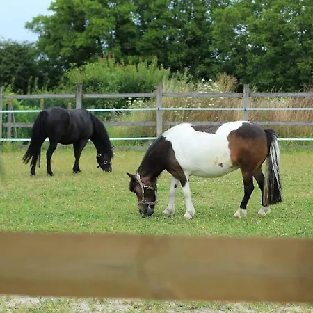 Du Domaine Equestre B & G Saint-Médard