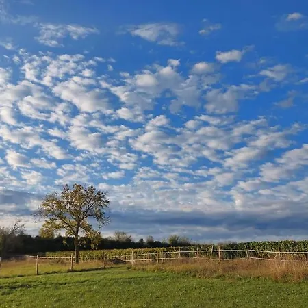 Du Domaine Equestre B & G Apartament *