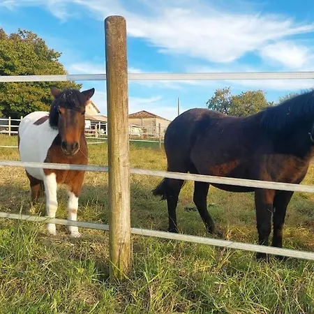 Apartament Du Domaine Equestre B & G Saint-Médard