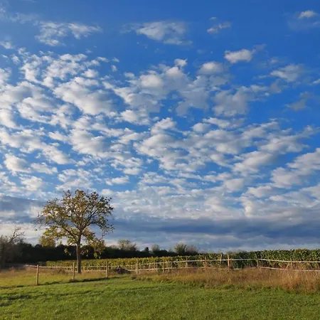 Apartmán Du Domaine Equestre B & G Saint-Médard