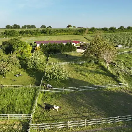 Du Domaine Equestre B & G Apartmán Saint-Médard