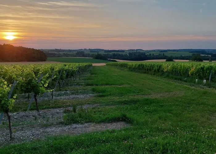 Du Domaine Equestre B & G Lejlighed *