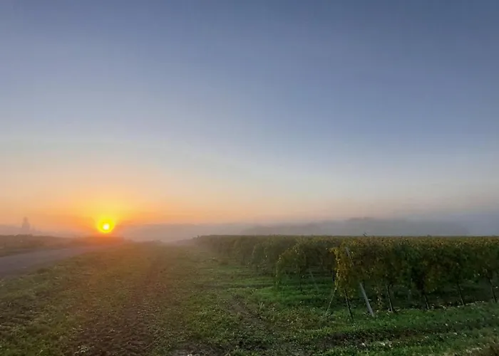 Lejlighed Du Domaine Equestre B & G