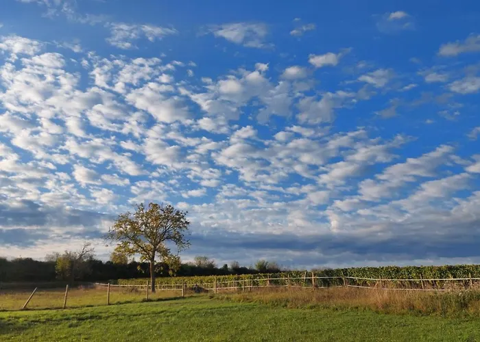 Lejlighed Du Domaine Equestre B & G Saint-Médard