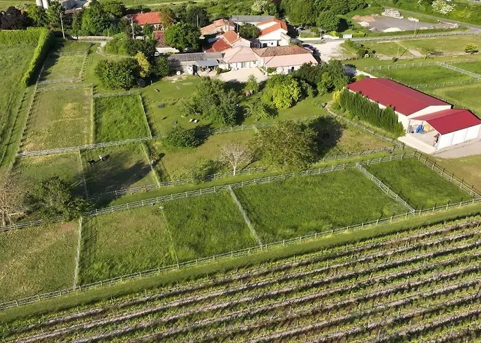 Du Domaine Equestre B & G