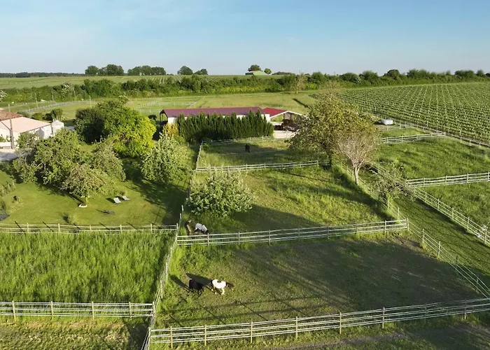 Du Domaine Equestre B & G Lejlighed Saint-Médard