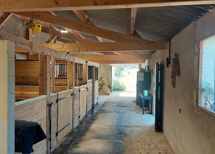 Lejlighed Du Domaine Equestre B & G Saint-Médard